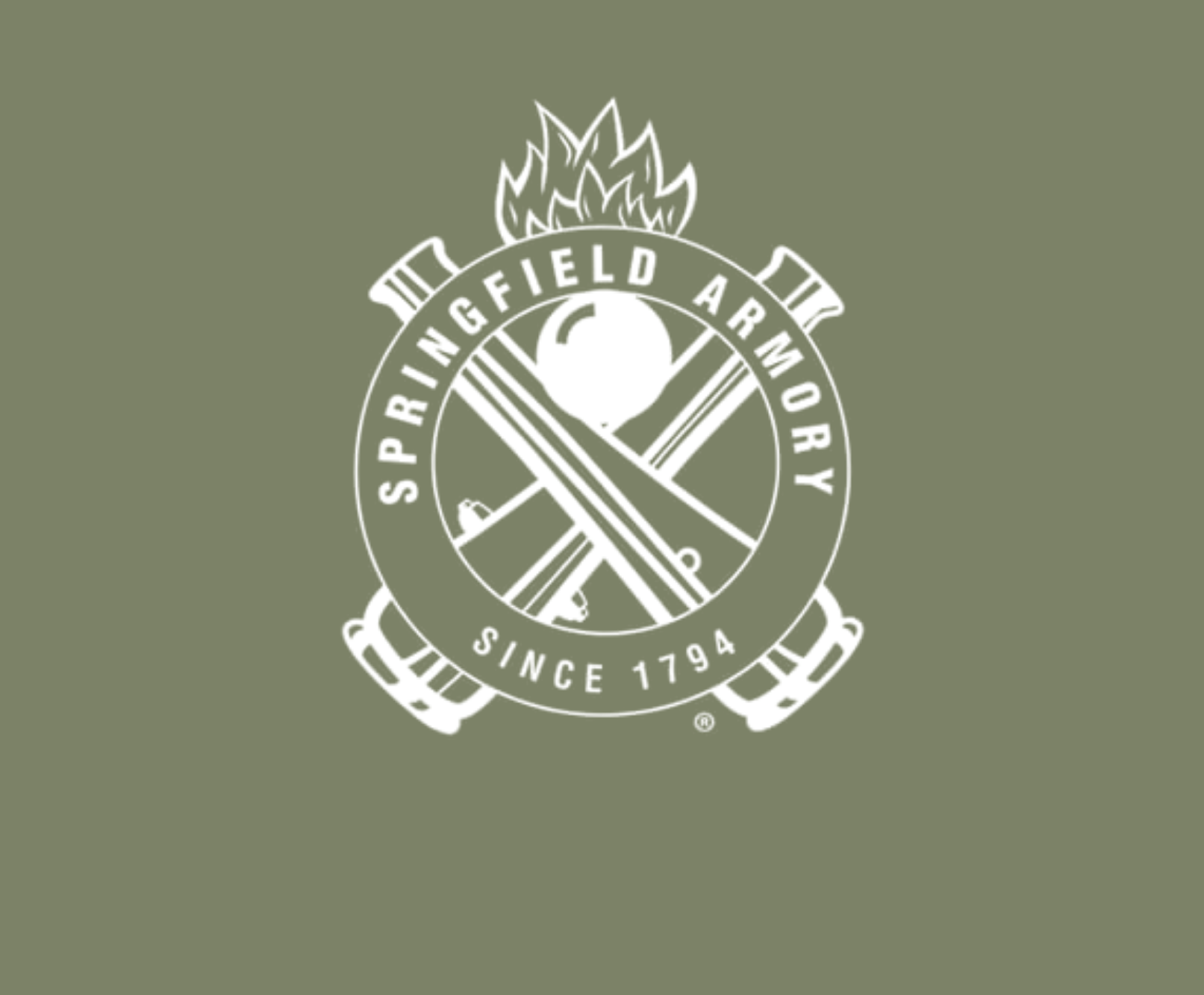 springfield arm
