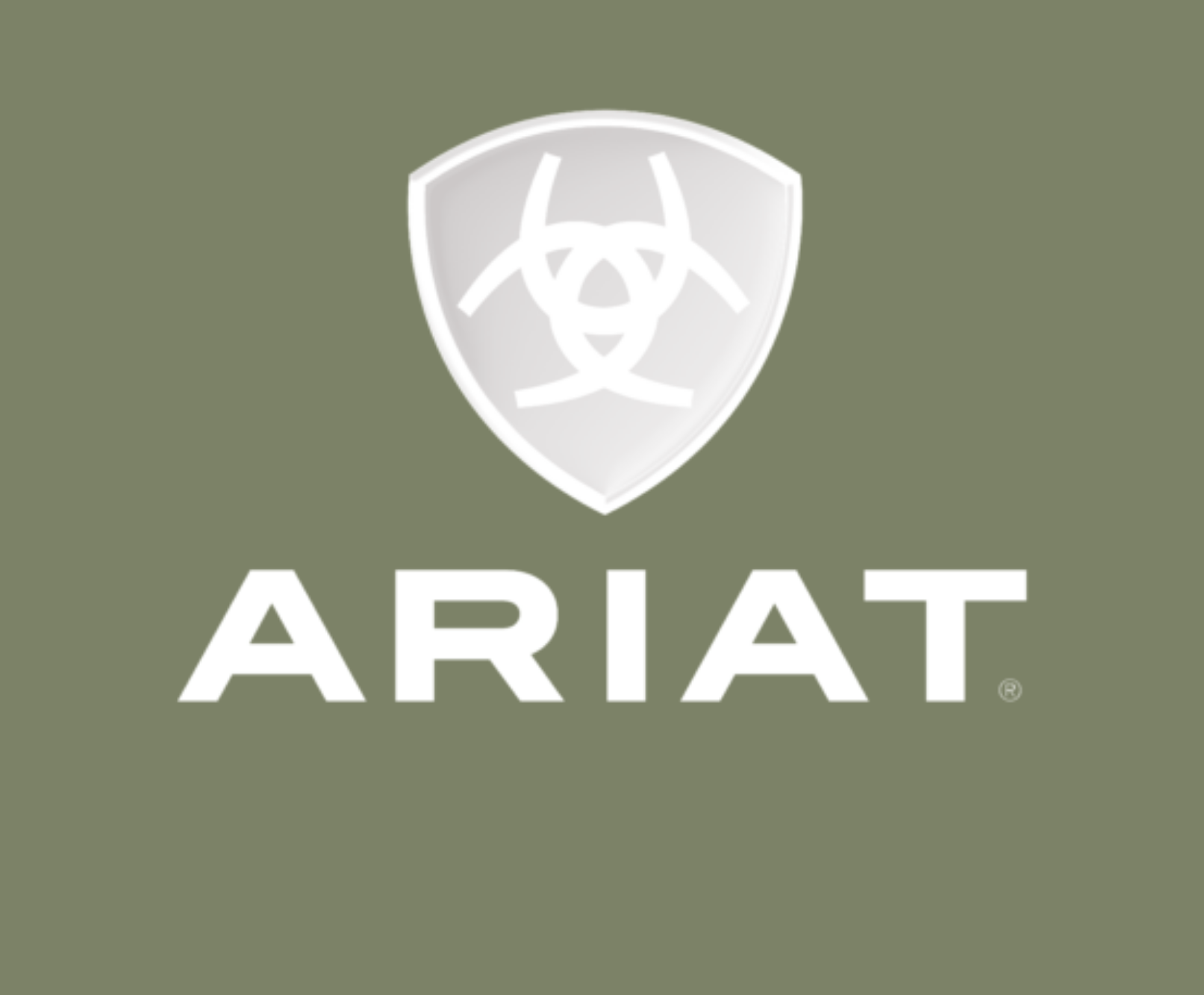 ariat boot